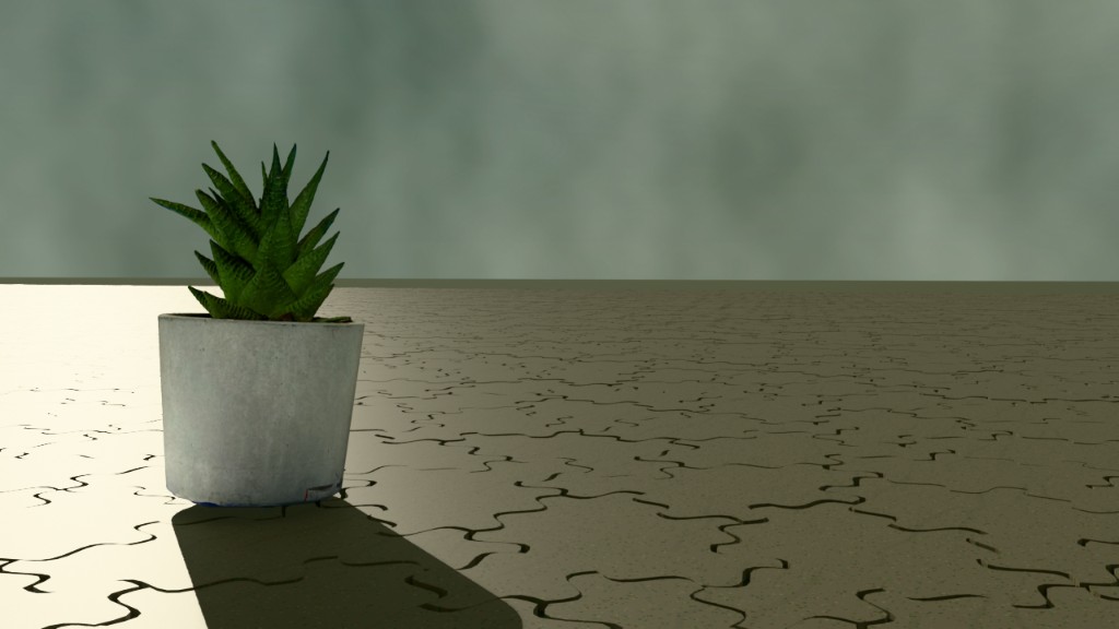 Succulent on sandy monotile floor