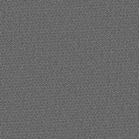 Animated zoom between a dense aperiodic monotile array and a magnified tile view